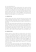 [인권교육][학교인권교육]인권교육의 개념,중요성,원칙, 학교인권교육의 의미,현실, 학교인권교육의 교사상, 학교인권교육의 문제점,발전방안-3