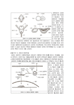 [제주대학교]동물발생학 레포트-7