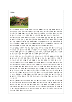 태국 레포트-3