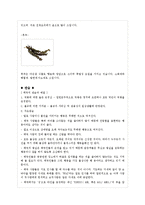 태국 레포트-10