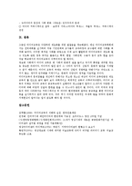 [미디어교육]미디어교육의 개념,필요성, 미디어교육의 재정, 미디어교육과 미술교육,인터넷교육, 미디어교육의 고려사항,실천방안-10