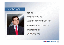 (대한항공 비율분석)-6