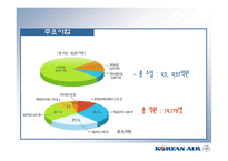 (대한항공 비율분석)-11