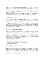 [청소년흡연]청소년흡연의 심각성,실태, 청소년흡연의 행동수준분류,원인, 청소년흡연과 금연단계,건강,비행, 청소년흡연의 현안,대책-6