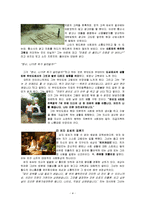 영화 김씨 표류기 감상문 및 철학적 고찰-6