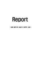 영화 블랙스완 감상문 및 철학적 고찰-1