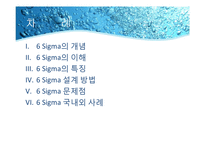 [경영학원론]6 시그마-3