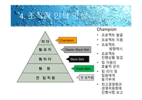 [경영학원론]6 시그마-13