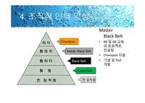 [경영학원론]6 시그마-14