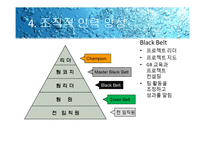 [경영학원론]6 시그마-15