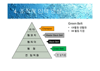 [경영학원론]6 시그마-16
