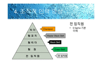 [경영학원론]6 시그마-17