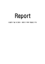 스쿨존의 개념 및 현황과 교통사고 사례와 해결방안 조사-1