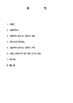 스쿨존의 개념 및 현황과 교통사고 사례와 해결방안 조사-2