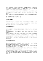 [BM특허][비즈니스모델특허]BM특허(비즈니스모델특허)의 개념,현황,전개과정,요건, BM특허(비즈니스모델특허)의 심사기준,영향,내실화방안-3