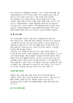 (주)태평양의 미쟝센 펄 샤이닝 마케팅 전략-4