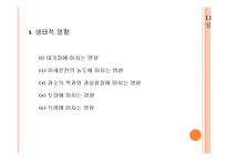 황사가 우리나라에 미치는 영향과 피해대책-13
