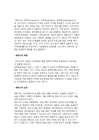 [영상 미디어의 조직] 영화와 방송의 현황-3