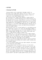 [조직구조론] Mintzberg의 조직구조론, Hall의 관료적 구조론-2