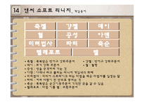 앤씨 소프트(NC SOFT)의 경영사례-15