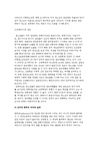 청소년 인터넷 문화) 청소년의 인터넷 이용현황과 인터넷 중독의 의미와 실태-4
