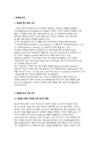 [글로벌 광고] 글로벌 광고 이론과 광고기획 수립 및 광고전략-2