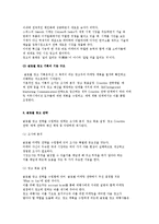 [글로벌 광고] 글로벌 광고 이론과 광고기획 수립 및 광고전략-3