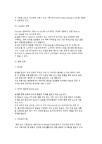 [글로벌 광고] 글로벌 광고 이론과 광고기획 수립 및 광고전략-4