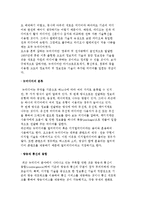 [정보사회의 도래] 뉴미디어의 등장과 특성-4