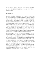 과학기술정책의 주요 수단-7