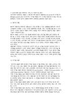 인터넷 제품전략) 인터넷 제품의 의미와 분류 및 인터넷상의 제품 특징과 제품의 전략-3