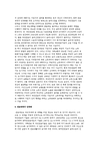 [노후소득보장을 위한 정책방향] 노인복지정책의 이념 설정과 공적 연금제도, 공공부조, 사적 소득보장의 장려-4