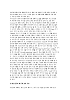 청소년기의 인지발달단계론적 접근-3