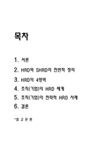 전략적 인적자원개발에 대하여-2