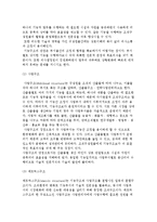 조직구조의 형성원리) 고전적 조직원리와 현대적 조직구조모형-5