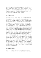 [전통문화] 문화와 전통, 전통문화의 개념과 범위 및 보존, 발굴, 진흥-8