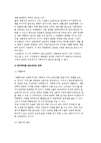 사회복지정책의 전달체계) 민영화와 상업화 및 사회복지 전달체계의 원칙과 발전전략-10