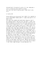 사회복지정책의 전달체계) 민영화와 상업화 및 사회복지 전달체계의 원칙과 발전전략-12