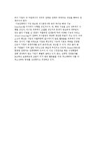전략경영의 개념과 내용 및 유형, 전략경영 과정-13