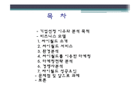 싸이월드의 마케팅 사례-3