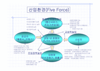 [인터넷비즈니스] 삼성전자전략사례연구(무선사업부)-19
