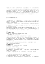피아제 삐아제 piaget 인지발달이론-2