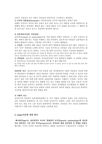피아제 삐아제 piaget 인지발달이론-4