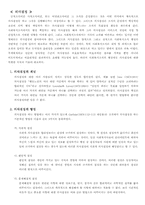 [사회복지행정] 의사결정-2
