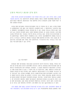 [인터넷문화] 엽기문화에 대한 우리의 자세-5