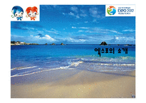 여수엑스포의 기대효과 및 분석-3