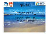 여수엑스포의 기대효과 및 분석-11