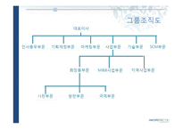 [경영학] 아모레퍼시픽 기업보고서-17