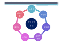 항공상품 사례 조사 -인천 국제공항 VS 홍콩 쳅랍콕 공항-3