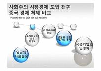 중국의 경제체제전환 모형-14